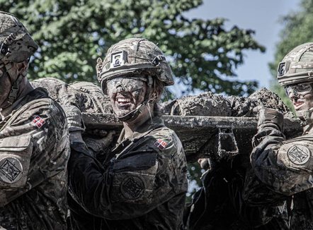 SHBA e kërkon me ngulm territorin, Danimarka po dërgon ushtrinë për në Groenlandë