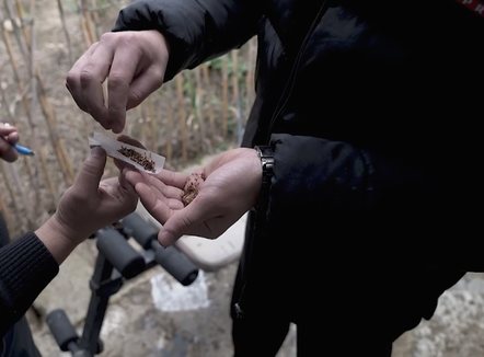 Varësia nga droga, shpëtimi që gjejnë përdoruesit te qendrat e rehabilitimit 