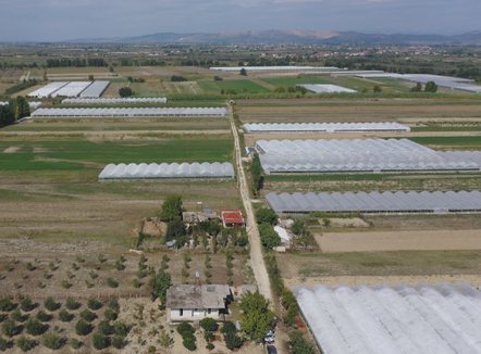 “Shtim fondesh, zgjerim të masave” Si duhet të jetë skema kombëtare në bujqësi dhe blegtori 2026?