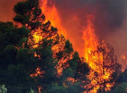 Qeveria akordon 345 milionë lekë për dëmshpërblimin e bashkive të prekura nga zjarret