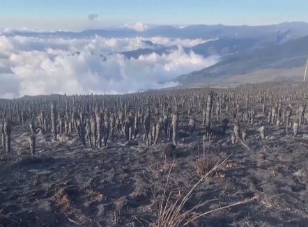 Fenomeni që po alarmon shkencëtarët. 