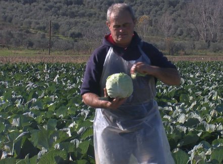 Pengu i fermerit: Tre dekada me bujqësi, më mirë të ikja në emigrim