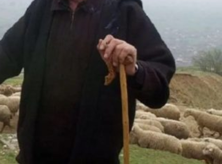 Zhduket prej 3 ditësh bariu në Tepelenë