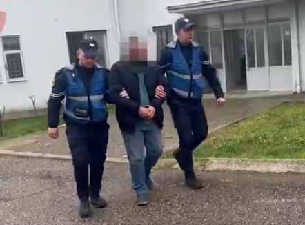 3 të arrestuar në Gjirokastër, pajisën 16 kamionë me certifikata të falsifikuara