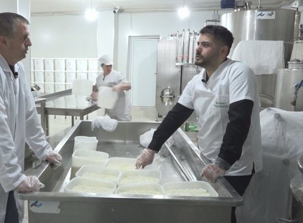 A ka djath cilësor në treg? Baxhoxhiu: 6 litra qumësht lope për 1 kg djath, çmimi 700 lekë