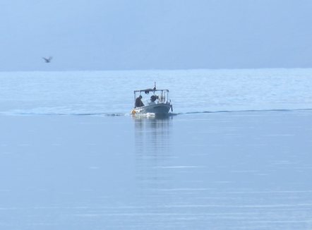 Peshkimi drejt falimentit, nga gjuetia e paligjshme te mungesa e financimit nga shteti