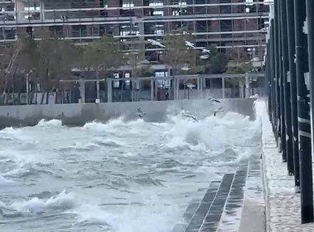 Moti i keq, pezullohet lundrimi në Vlorë, anulohet edhe linja Sarandë-Korfuz