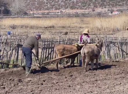 Ata që jetojnë në fshat mund “të blejnë” vite pune për pension deri më 31 dhjetor 2026
