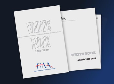 Shqipëria po e prish imazhin, 