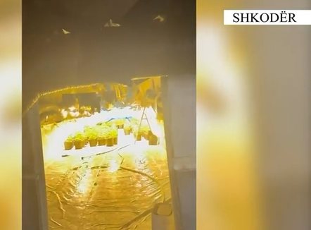 Zbulohet “tuneli i barit”, arrestohen 3 persona