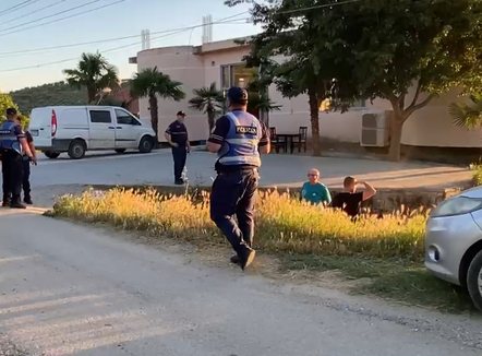 Sherr me thika në Lushnjë, një i plagosur