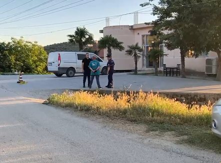 Plagoset 42-vjeçari në Lushnjë, arrestohet adoleshenti