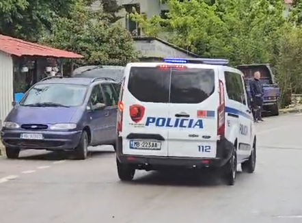 Vrasja e policit në Maliq/ Autori jetonte në pyll me nënën e tij, fshihte arsenal armësh në stan