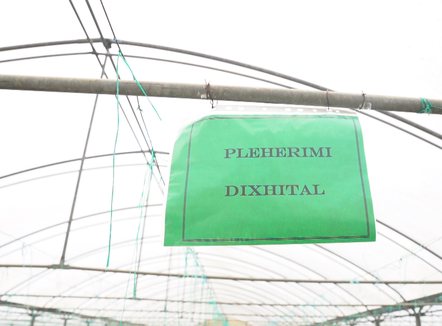 Gati ngritja e “urdhrit”, Qeveria do të vendosë licencim të detyruar për agronomët