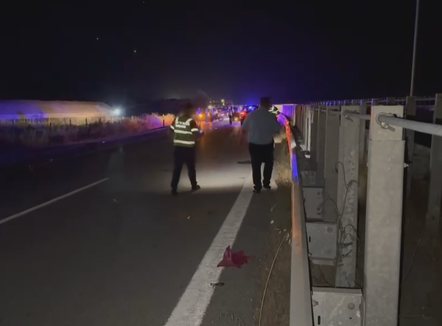 Aksident në aksin Fier-Vlorë, tentoi të kalonte autostradën, humb jetën një person