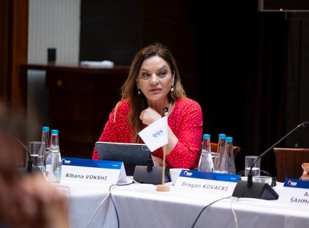 Vokshi në EPP: Shqipërisë i duhet një qeveri kujdestare për të garantuar zgjedhje të lira 