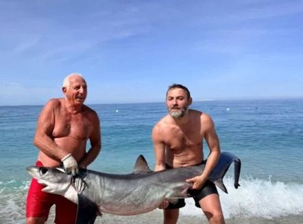 Kapet në Borsh peshkaqeni i rrallë “dhelpër”