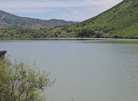 Mungojnë investimet, rrethuar nga rezervuare por pa vaditje në ara