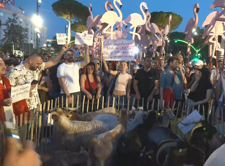 “Fitorja e parë e Flamingove”? Rama protestuesve: Ju keqinformuan për amentamendin e eurodeputetëve