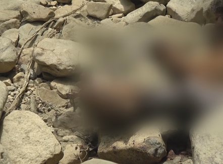 Ndotje e rrezikshme në Këlcyrë, bagëti të ngordhura hidhen në përroin e tharë të fshatit