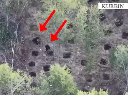 Asgjësohet kanabisi në Skuraj, arrestohen dy kultivuesit