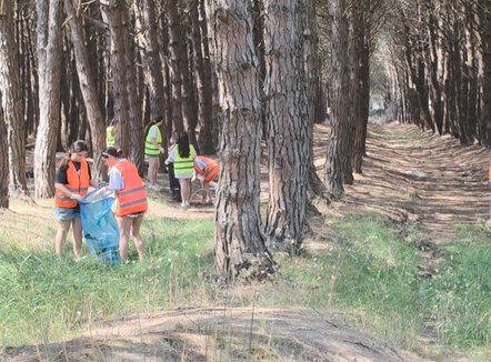 Nga pylli i Semanit, të rinjtë vullnetarë apel për mbrojtjen e natyrës