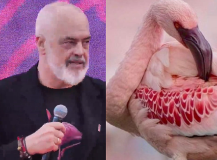 Rama vendos flamingot në profilin e Facebook-ut