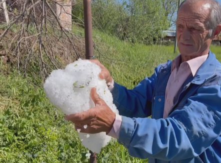 Dëmet nga kapriçot e motit, fermerët: Skema sigurimi për prodhimet bujqësore