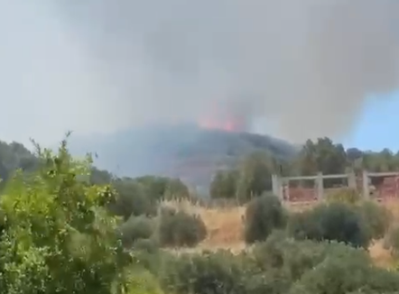 Vatër zjarri në Llakatund të Vlorës