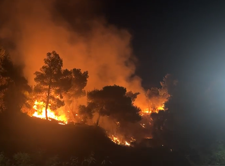 Zjarr në malin e Shëngjinit, flakët po përhapen me shpejtësi