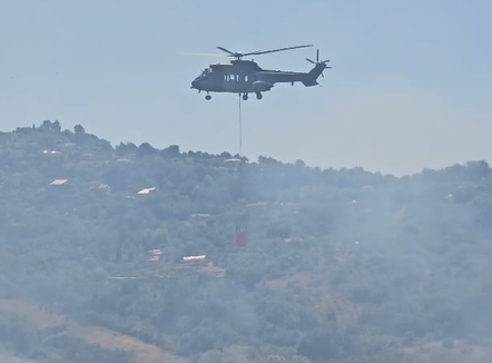 Vihet nën kontroll pas 9 orësh zjarri në Drizë të Fierit, 7 familje të evakuuara