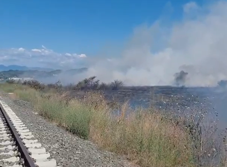 Zjarr në Koxhas të Shijakut, flakët përhapen me shpejtësi nga era