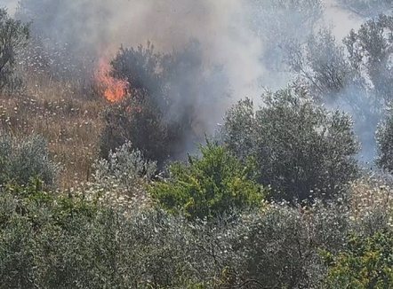 Nis “sezoni” i zjarreve, Haki Çako: Janë menaxhuar 160 vatra, duhet kujdes