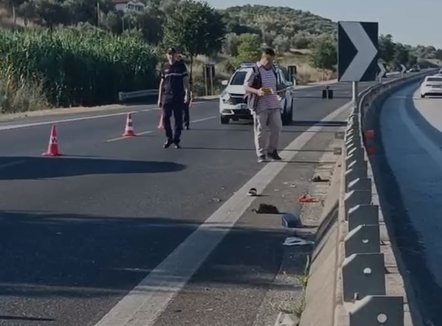 Po kalonte autostradën Lushnjë-Rrogozhinë, fuoristrada përplas 75-vjeçaren
