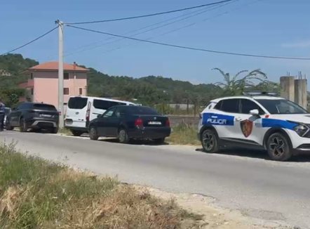 Vrasje me snajper dhe silenciator. Autori priti për një orë i fshehur para se të qëllonte 50-vjeçarin