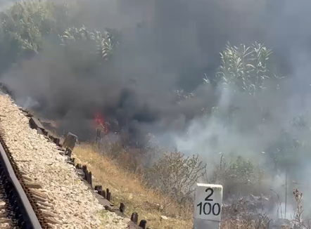 Izolohet zjarri në Novoselë, shmanget rreziku për banesat