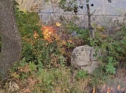 Me objektiv parandalimin e zjarreve, Kukësi dhe Prizreni krijojnë brezin mbrojtës përgjatë kufirit Kosovë-Shqipëri