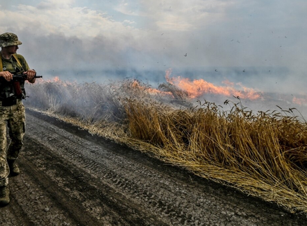 Rusia shënjestron me bomba ndezëse të korrat e Ukrainës