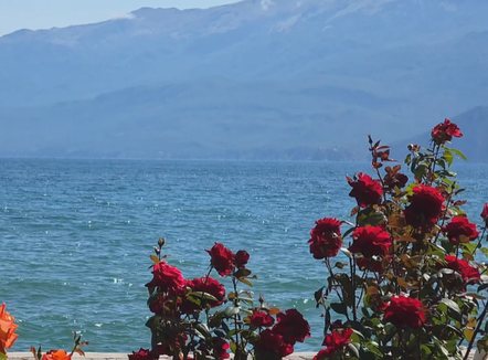 Sezoni veror në Pogradec, fluks pushuesish, jo vetëm për klimën por dhe shërbimin
