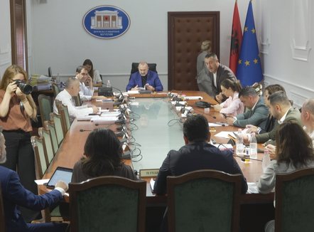 Pensionet, NATO dhe koncerti i West, PD quan antikushtetuese aktet normative të ndryshimit të buxhetit