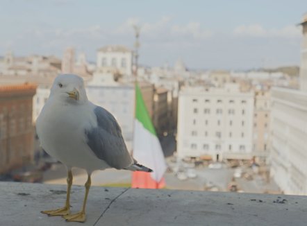 Një vit nga hyrja në fuqi e marrëveshjes së pensioneve me Italinë, mijëra aplikime ende në pritje