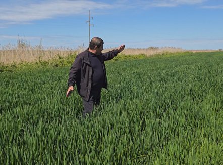 Skema në bujqësi dhe blegtori, rreth 21 mijë të kualifikuar në fazën e parë të përzgjedhjes