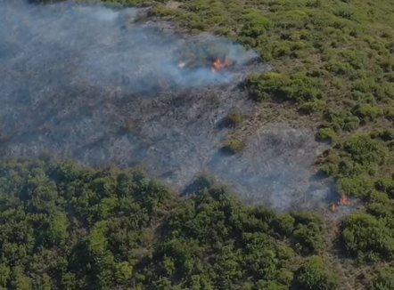 Zjarr në kodrat e Selishtës në Mallakastër, flakët përfshijnë ullishte dhe shkurre