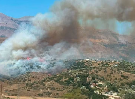 Zjarr në Shelegar dhe në Bregas. Era favorizon flakët