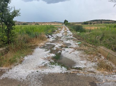 Breshër në Devoll, dëme në bujqësi