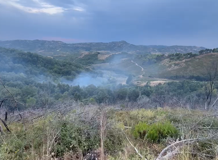 Zjarr në kodrat e Peshtanit, zjarrfikësit neutralizojnë flakët dhe shmangin përhapjen