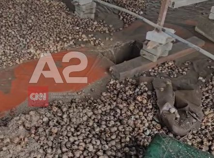 Situatë alarmante nga reshjet në juglindje, dëmtohet fabrika e përpunimit të kërmillit në Maliq