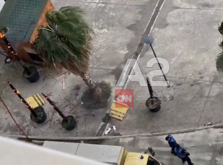 Thjesht për ‘lojë’, adoleshentët në Vlorë i vendosin flakën katër palmave