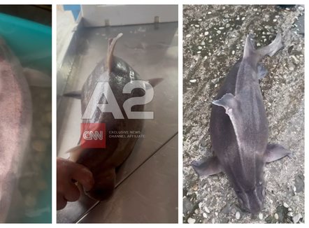 Kapet peshkaqeni ‘Derr’ në Vlorë