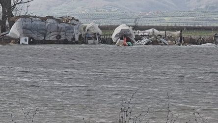 Tërbufi nën ujë. 1200 hektarë të përmbytur, ngardhin bagëtitë